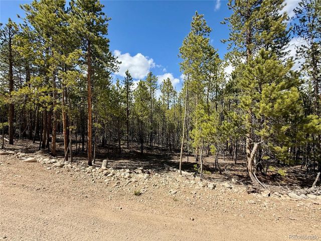 1127 Sequoia Drive, Twin Lakes, CO 80461