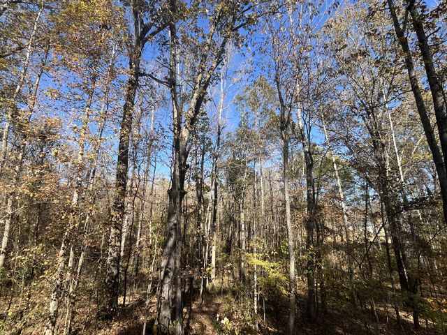 0 Indian Park Dr, Parsons, TN 38363