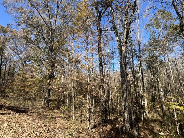 0 Indian Park Dr, Parsons, TN 38363