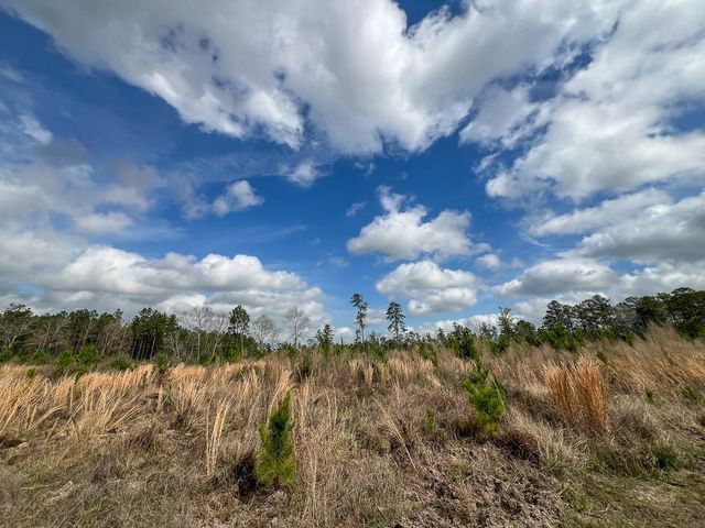 0 County Road 37, Jasper, TX 75951