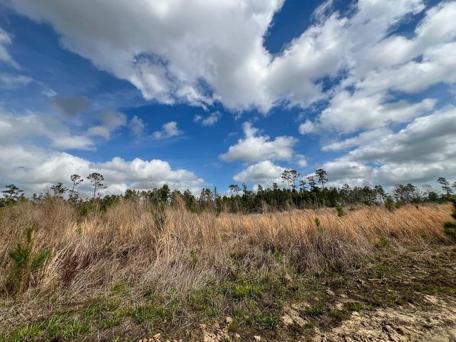 0 County Road 37, Jasper, TX 75951