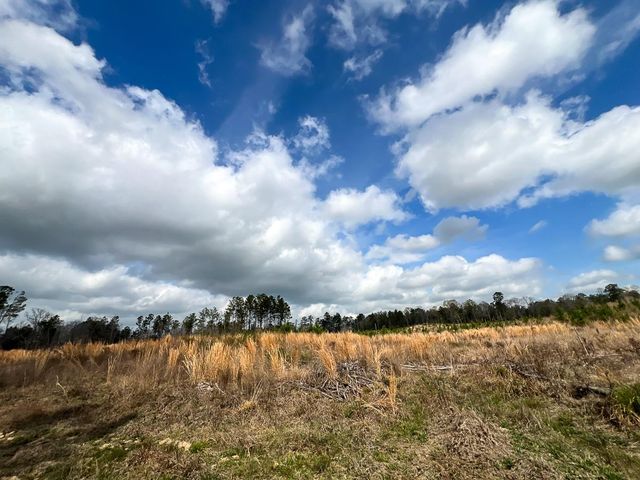 0 County Road 37, Jasper, TX 75951