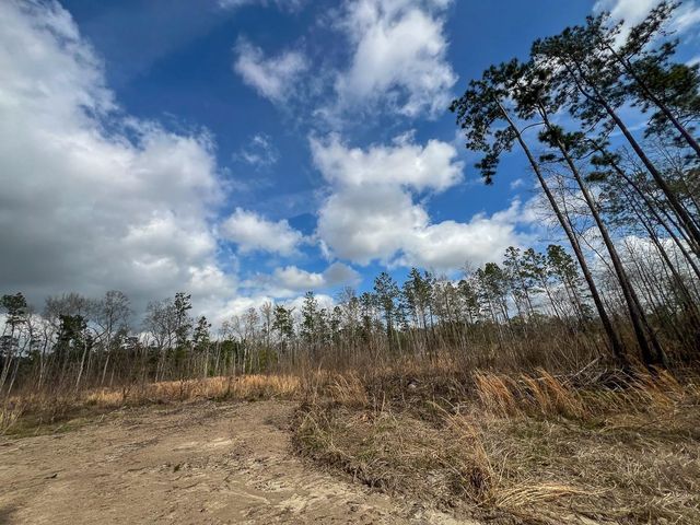 0 County Road 37, Jasper, TX 75951