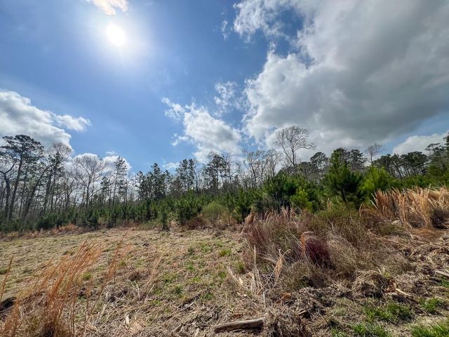 0 County Road 37, Jasper, TX 75951