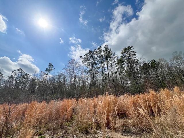 0 County Road 37, Jasper, TX 75951