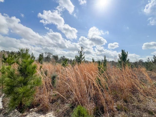 0 County Road 37, Jasper, TX 75951