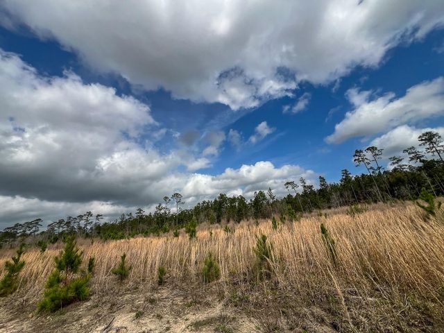 0 County Road 37, Jasper, TX 75951