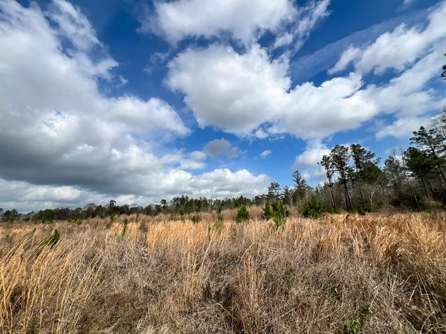 0 County Road 37, Jasper, TX 75951