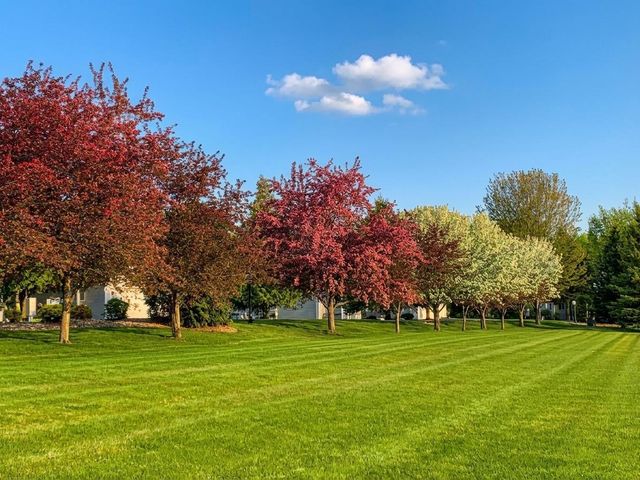 2558 County Road 120 NE, Alexandria, MN 56308