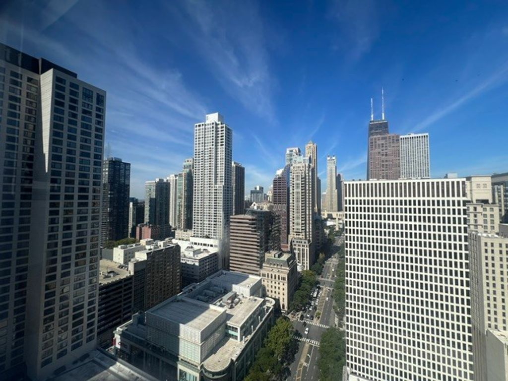 535 N Michigan Avenue 3216, Chicago, IL 60611 — photo 3
