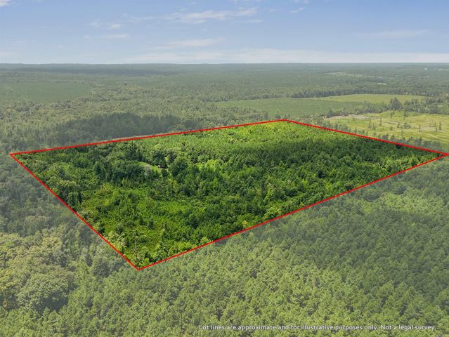 1678 Gentry Road, Star City, AR 71667
