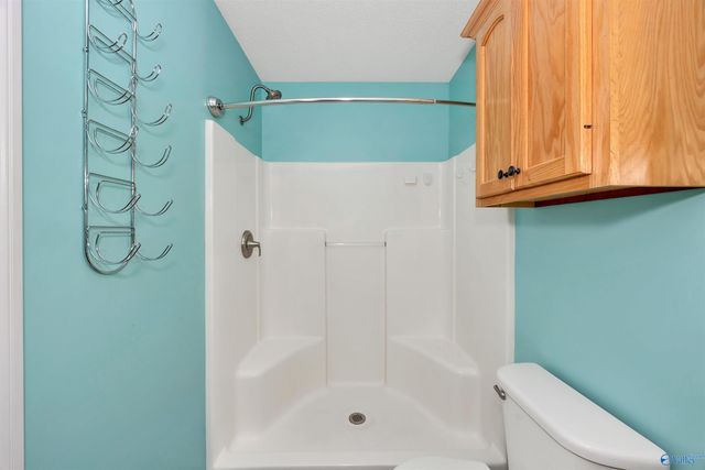 222 Mary Jo Isom Lane, Arab, AL 35016