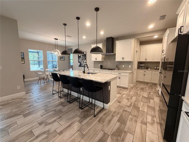 18071 AERO AVENUE, Land O Lakes, FL 34638