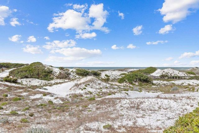 90 S Founders Lane, Inlet Beach, FL 32461