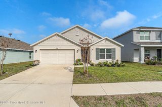 3900 Autumn Amber Drive, Spring Hill, FL 34609