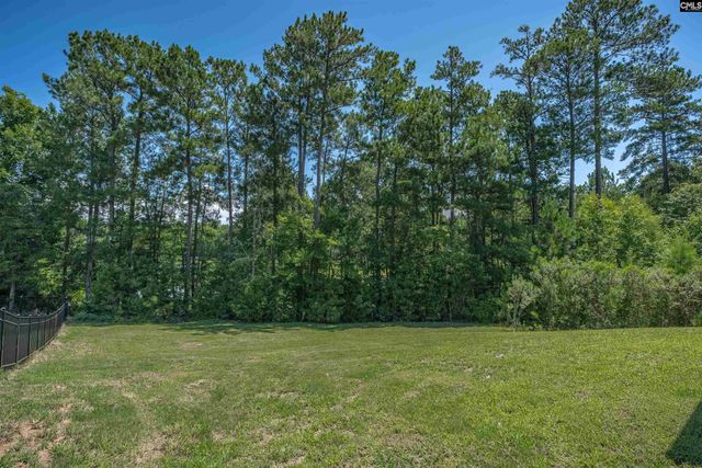 204 October Glory Drive, Blythewood, SC 29016