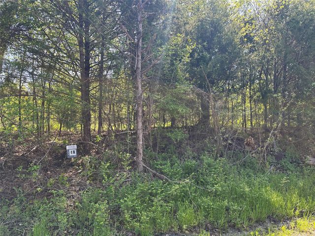 Tract 18 County Road 2960, Honey Grove, TX 75446