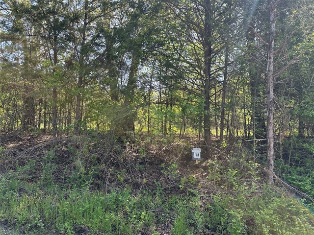 Tract 18 County Road 2960, Honey Grove, TX 75446