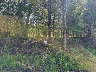 Tract 18 County Road 2960, Honey Grove, TX 75446