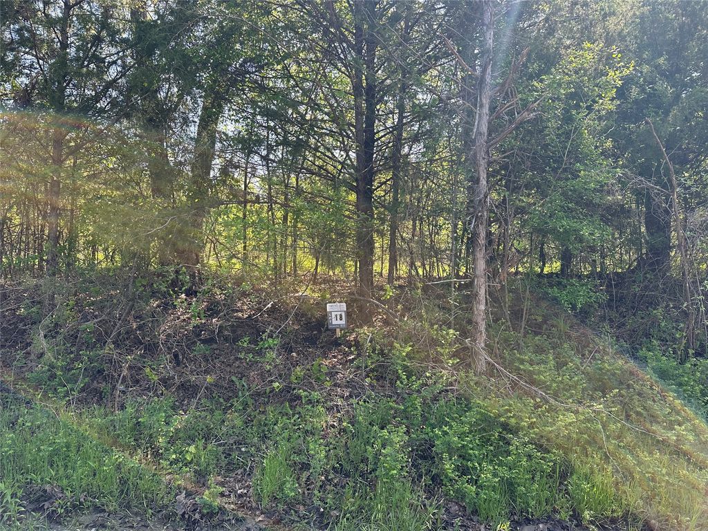 Tract 18 County Road 2960, Honey Grove, TX 75446