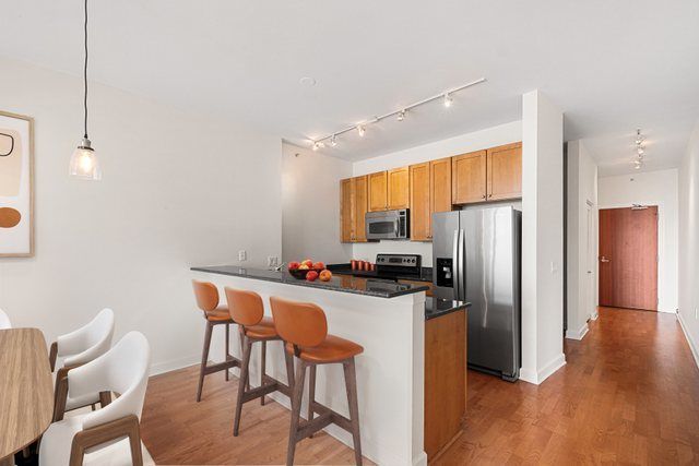 1235 S Prairie Avenue 1906, Chicago, IL 60605