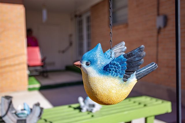 405 Meadow Drive, Gainesville, TX 76240