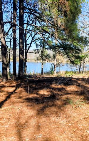 25 Private Rd 6307, Mineola, TX 75773