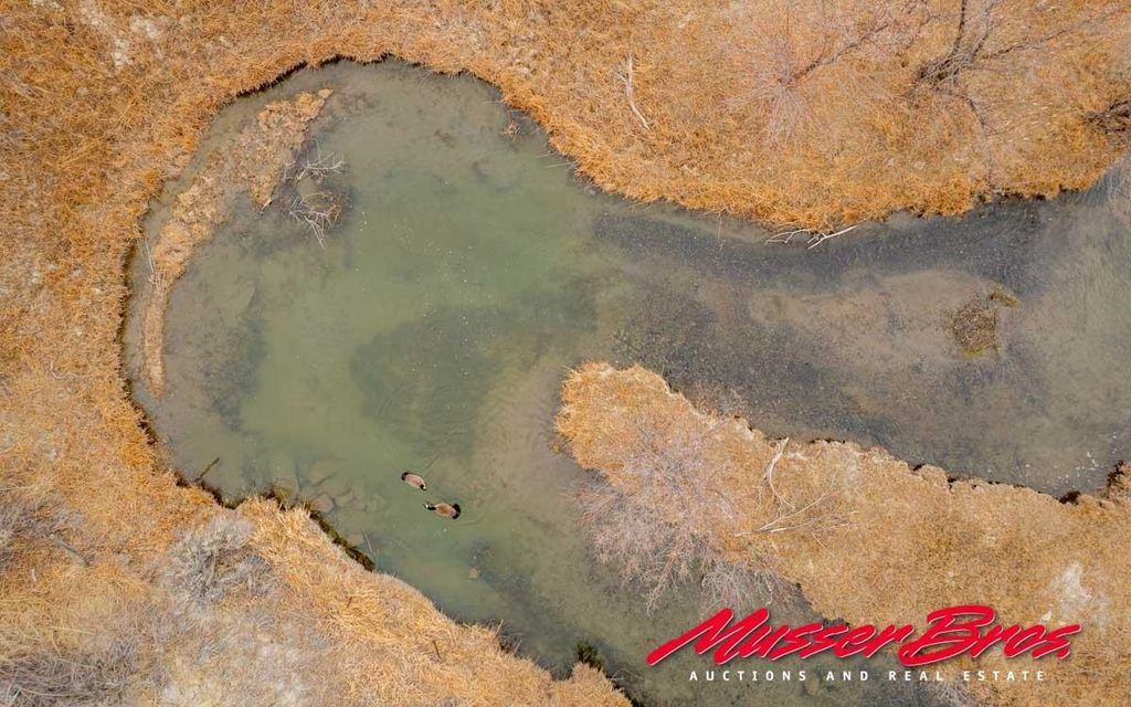 81 McNeil Ln, Cody, WY 82414 photo 13