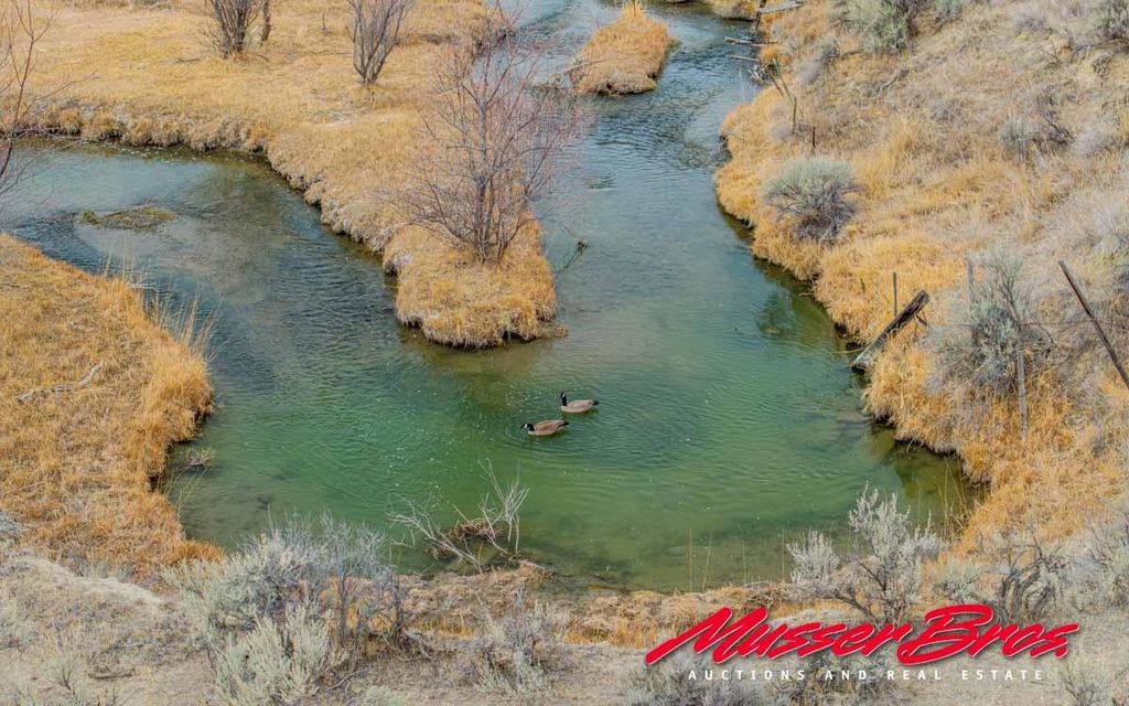 81 McNeil Ln, Cody, WY 82414 photo 14