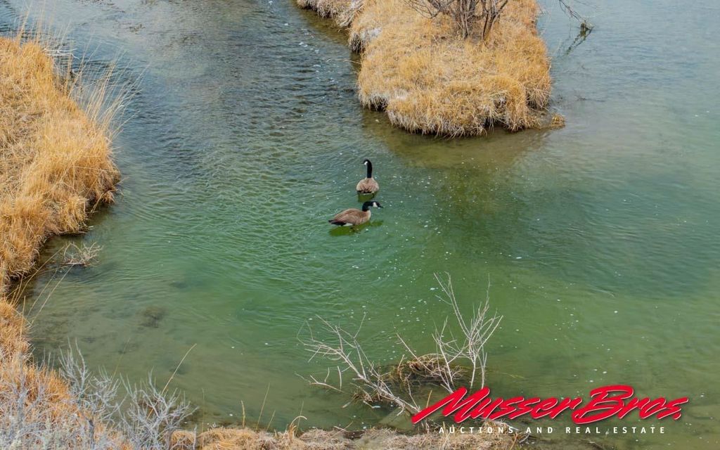 81 McNeil Ln, Cody, WY 82414 photo 15