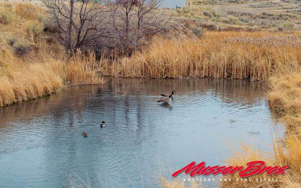 81 McNeil Ln, Cody, WY 82414 photo 26