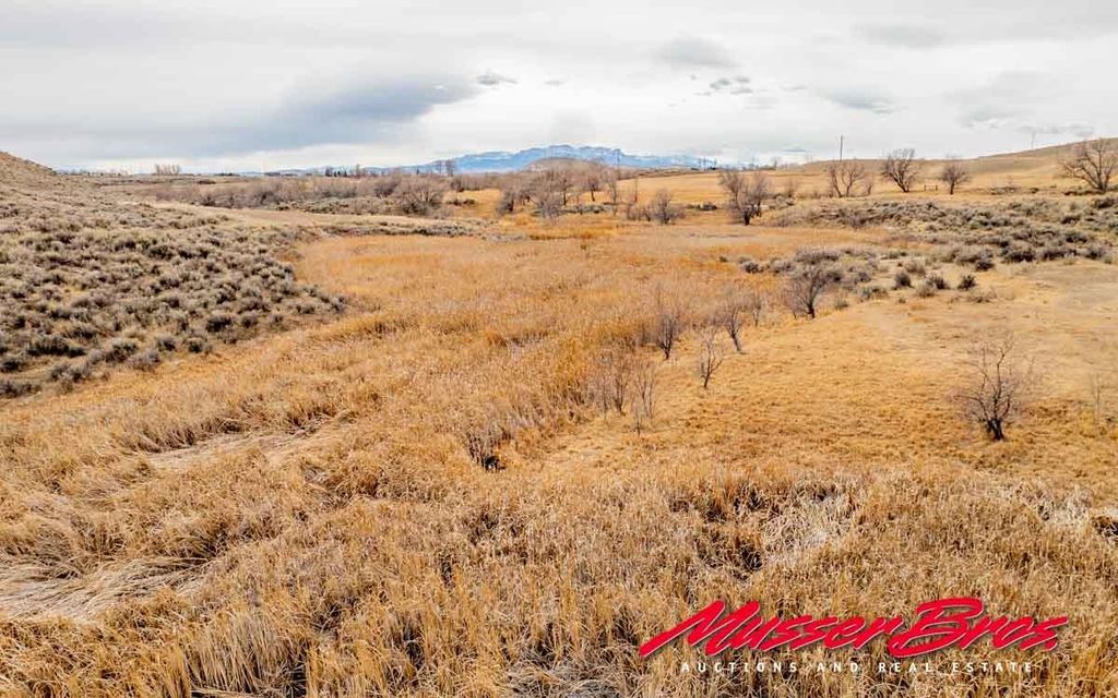 81 McNeil Ln, Cody, WY 82414 photo 32