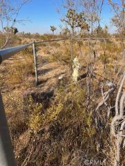 5202 La Mesa, Phelan, CA 92371