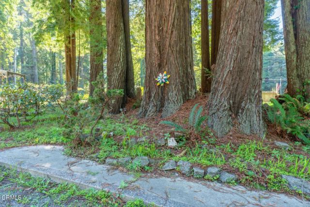 32200 California 20, Fort Bragg, CA 95437