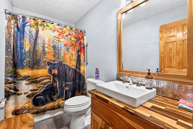 750 Lemmon Lane S, Ellijay, GA 30540