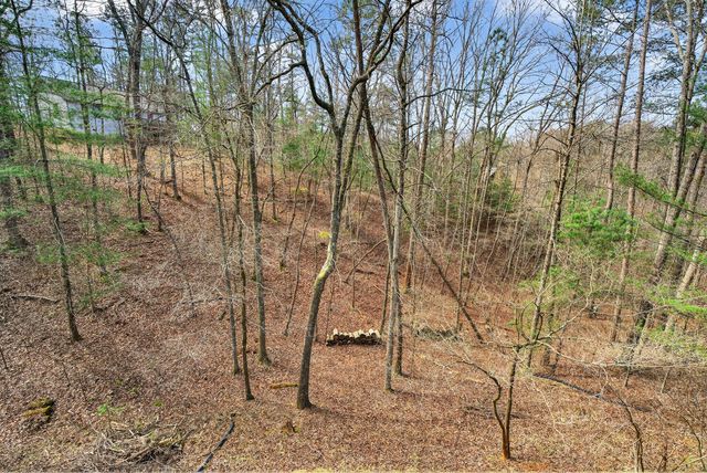 750 Lemmon Lane S, Ellijay, GA 30540