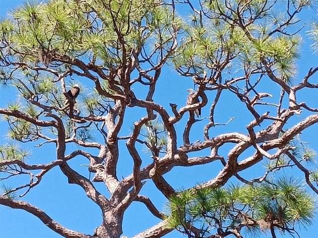 4260 PLACIDA ROAD 24B, Englewood, FL 34224