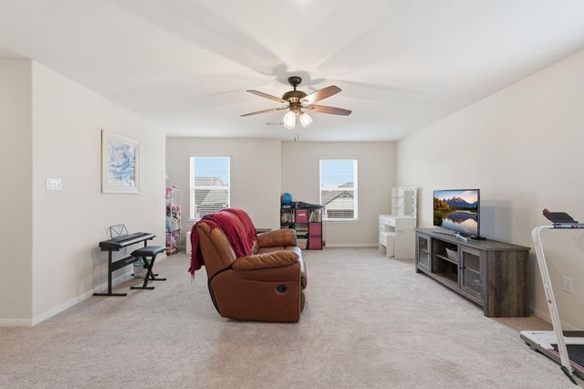 23834 Thistle Spud Lane, Hockley, TX 77447