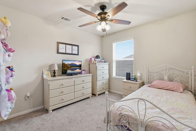 23834 Thistle Spud Lane, Hockley, TX 77447