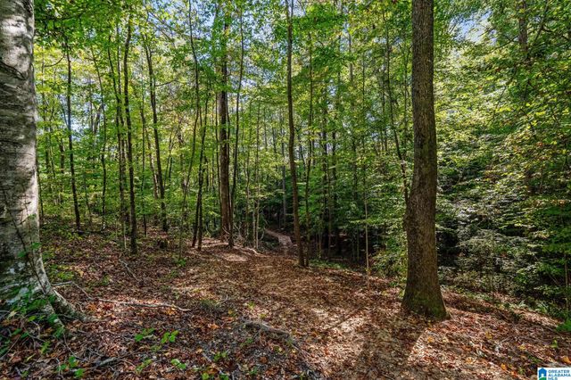 5961 CLUBHOUSE DRIVE, Trussville, AL 35173