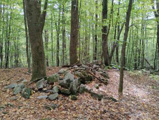 0 Taft Road, Townshend, VT 05353