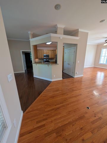 216 Pointe Overlook Drive, Chapin, SC 29036