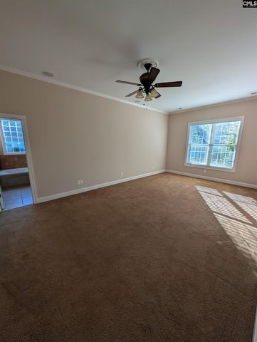 216 Pointe Overlook Drive, Chapin, SC 29036