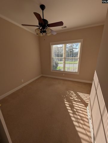 216 Pointe Overlook Drive, Chapin, SC 29036