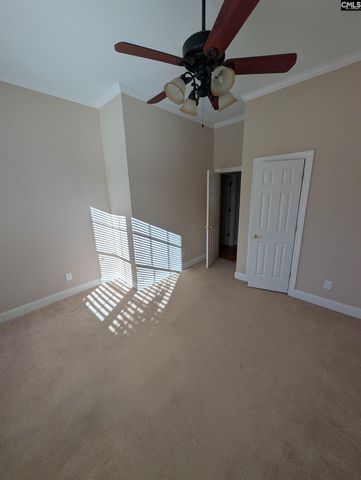 216 Pointe Overlook Drive, Chapin, SC 29036