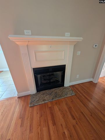 216 Pointe Overlook Drive, Chapin, SC 29036