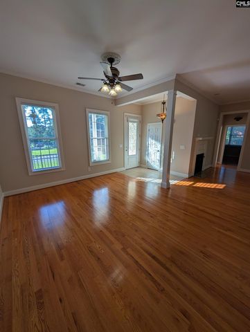 216 Pointe Overlook Drive, Chapin, SC 29036