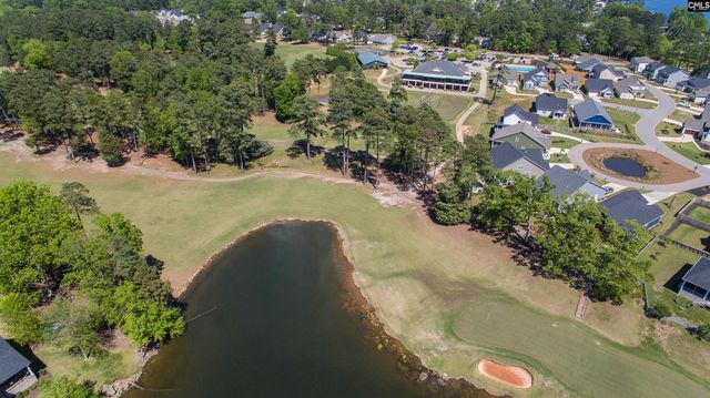 216 Pointe Overlook Drive, Chapin, SC 29036
