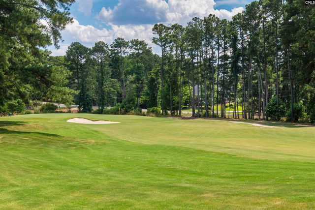216 Pointe Overlook Drive, Chapin, SC 29036
