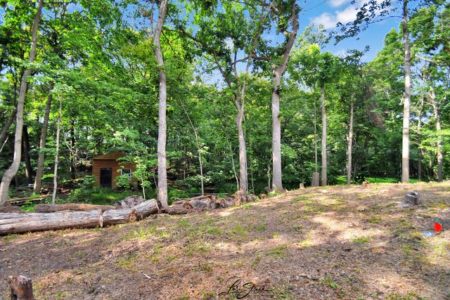 20602 Abbey Drive, Frankfort, IL 60423